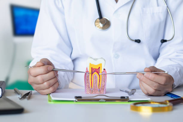 Best Emergency Dental Care for Abscessed Tooth in Kirkland, IL